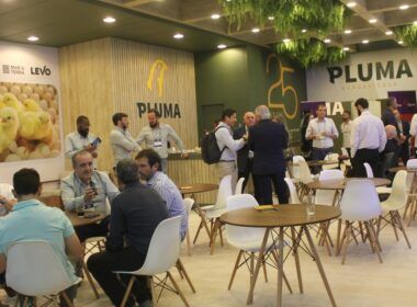 pluma agroavicola celebra 25 anos no siavs 2024 com novas