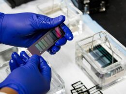 polimero condutor para eletronicos de residuos plasticos e vegetais inovacao