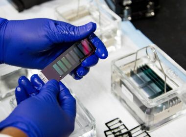 polimero condutor para eletronicos de residuos plasticos e vegetais inovacao