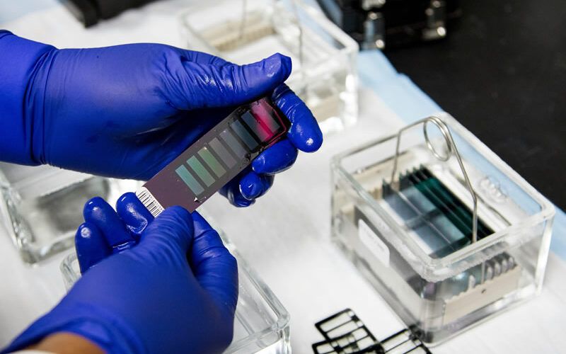 polimero condutor para eletronicos de residuos plasticos e vegetais inovacao