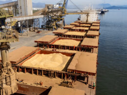 Porto de Paranaguá lidera soja e amplia farelo e proteínas com mais eficiência logística e acesso a novos mercados