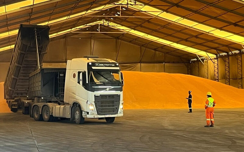 Porto do Açu impulsiona exportação de milho não transgênico de Mato Grosso e amplia acesso a mercados exigentes