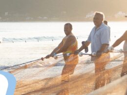 pp polimeros transformando redes de pesca em plastico sustentavel