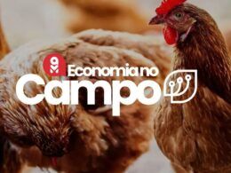 preco do frango aumenta em setembro oportunidade ou desafio para