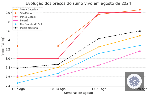 preco do suino em alta agosto traz boas perspectivas para