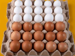 Preço dos ovos brancos e vermelhos em mínima histórica pode otimizar suas compras e aumentar sua economia. 13 Preço dos ovos brancos e vermelhos em mínima histórica pode otimizar suas compras e aumentar sua economia.