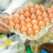 Preços de alimentos em queda trazem alívio ao bolso e inflação negativa em junho: o que isso significa para você.