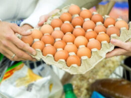 Preços de alimentos em queda trazem alívio ao bolso e inflação negativa em junho: o que isso significa para você. 15 Preços de alimentos em queda trazem alívio ao bolso e inflação negativa em junho: o que isso significa para você.