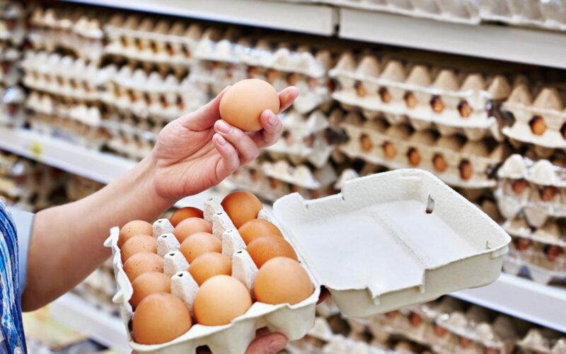 Preços de ovos em queda: como a demanda fraca pode beneficiar seu bolso e influenciar o mercado agropecuário.