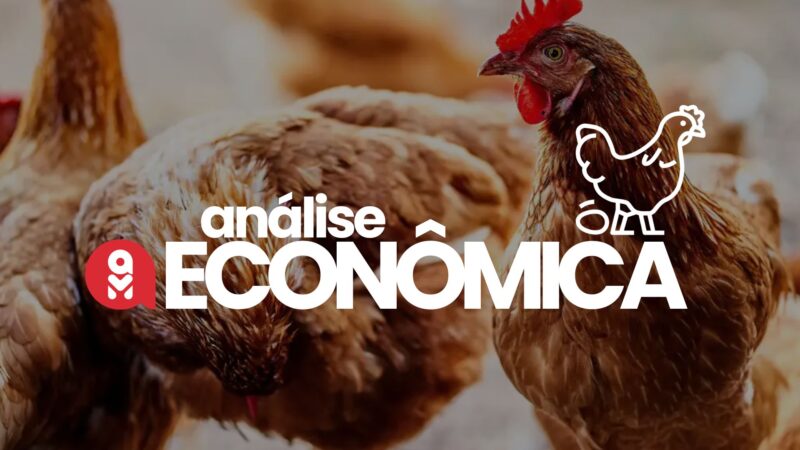 precos do frango em alta com demanda aquecida e ovos