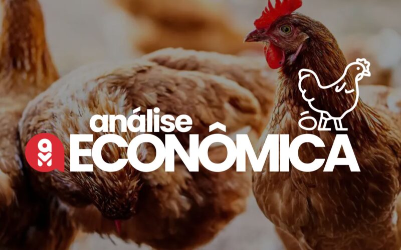 Preços do frango em queda e ovos em ascensão: como se beneficiar das oportunidades no mercado avícola.