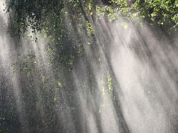 Preparação para Tempestades: Dicas para Proteger seu Pasto de Rajadas de Vento e Chuva Intensa