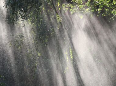 Preparação para Tempestades: Dicas para Proteger seu Pasto de Rajadas de Vento e Chuva Intensa