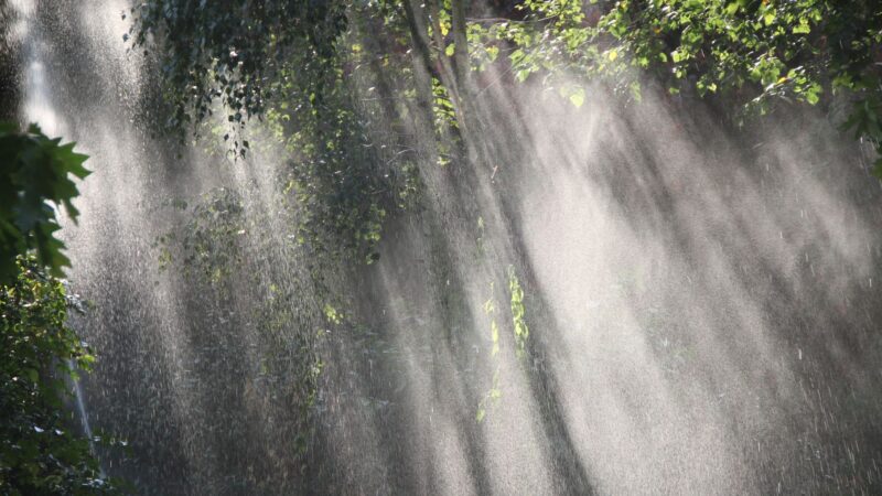 Preparação para Tempestades: Dicas para Proteger seu Pasto de Rajadas de Vento e Chuva Intensa