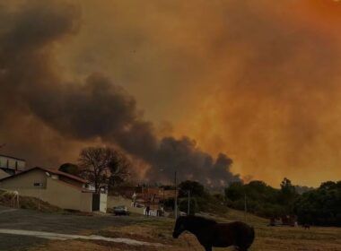 prepare se clima extremo e queimadas em 2024 podem disparar precos