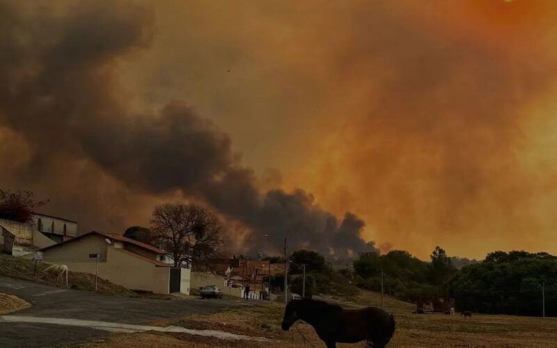 prepare se clima extremo e queimadas em 2024 podem disparar precos