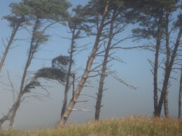 Prepare-se para enfrentar rajadas de vento acima de 100 km/h e o risco de granizo com informações essenciais para sua segurança. 15 Prepare-se para enfrentar rajadas de vento acima de 100 km/h e o risco de granizo com informações essenciais para sua segurança.