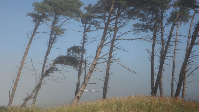 Prepare-se para enfrentar rajadas de vento acima de 100 km/h e o risco de granizo com informações essenciais para sua segurança.