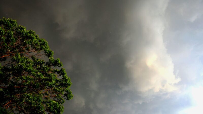 Preparo para o aumento das chuvas no Centro-Sul garante segurança e produtividade na pecuária brasileira