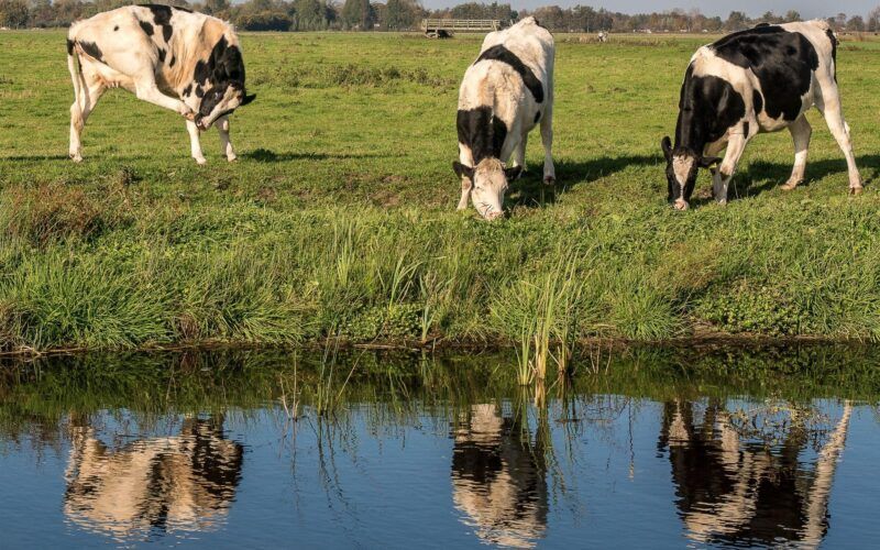 previsao setor agropecuario brasileiro alcancara r 1 trilhao ate 2023