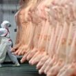 Privatização das inspeções agropecuárias: riscos e oportunidades para o futuro das exportações de carne no Brasil.