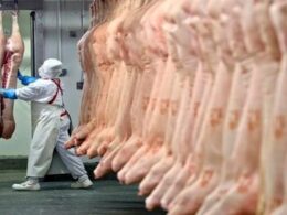 Privatização das inspeções agropecuárias: riscos e oportunidades para o futuro das exportações de carne no Brasil. 15 Privatização das inspeções agropecuárias: riscos e oportunidades para o futuro das exportações de carne no Brasil.