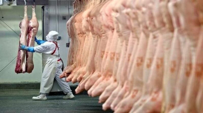 Privatização das inspeções agropecuárias: riscos e oportunidades para o futuro das exportações de carne no Brasil.