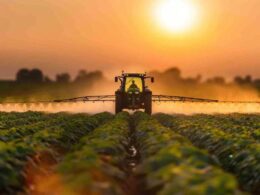 producao agroindustrial cresce no primeiro trimestre de 2025 impulsionada pela