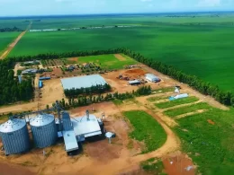 Valor bruto da produção agropecuária em 2025 deve crescer 11,5%, a R$ 1,42 tri, diz Mapa