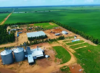 Valor bruto da produção agropecuária em 2025 deve crescer 11,5%, a R$ 1,42 tri, diz Mapa