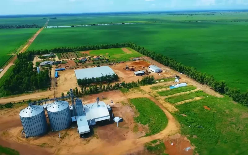 Valor bruto da produção agropecuária em 2025 deve crescer 11,5%, a R$ 1,42 tri, diz Mapa