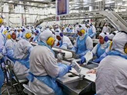 producao industrial surpreende avanco de 01 em agosto fica abaixo