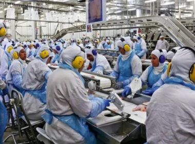 producao industrial surpreende avanco de 01 em agosto fica abaixo