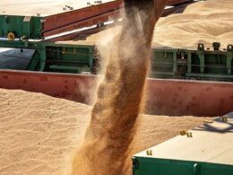 Produtividade da Soja: Frísia Inova e Promete Colheita Recorde na Safra 2024/25 8 produtividade da soja frisia inova e promete colheita recorde na