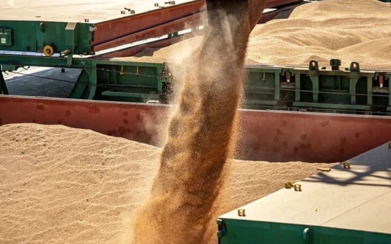 produtividade da soja frisia inova e promete colheita recorde na