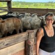 Produtora familiar em Rondônia destaca resiliência e prática sustentável que transformam a pecuária local