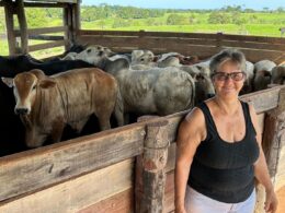 Produtora familiar em Rondônia destaca resiliência e prática sustentável que transformam a pecuária local 26 Produtora familiar em Rondônia destaca resiliência e prática sustentável que transformam a pecuária local
