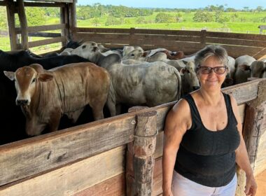 Produtora familiar em Rondônia destaca resiliência e prática sustentável que transformam a pecuária local