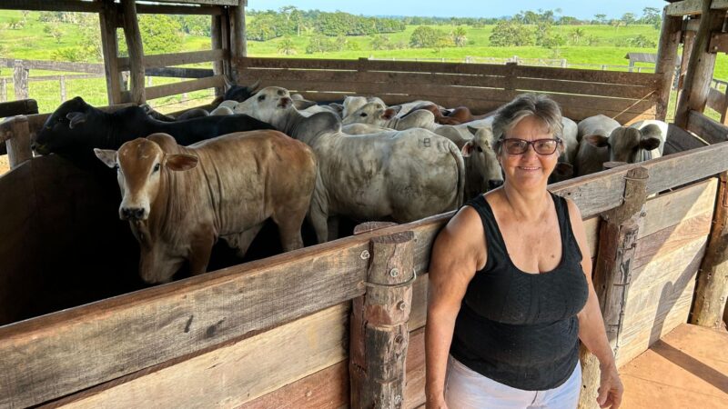 Produtora familiar em Rondônia destaca resiliência e prática sustentável que transformam a pecuária local