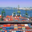 produtores brasileiros de aves e suinos preveem recordes de exportacao