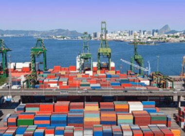 produtores brasileiros de aves e suinos preveem recordes de exportacao