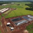 produtores da seara transformam dejetos de suinos em energia limpa