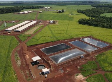 produtores da seara transformam dejetos de suinos em energia limpa