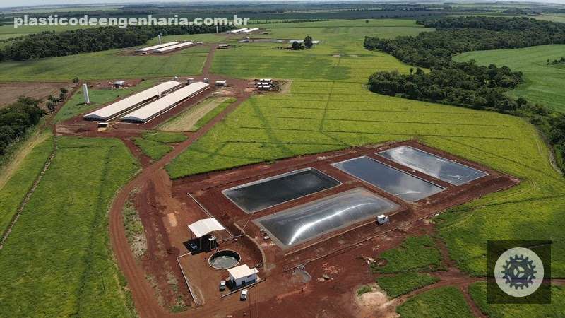 produtores da seara transformam dejetos de suinos em energia limpa