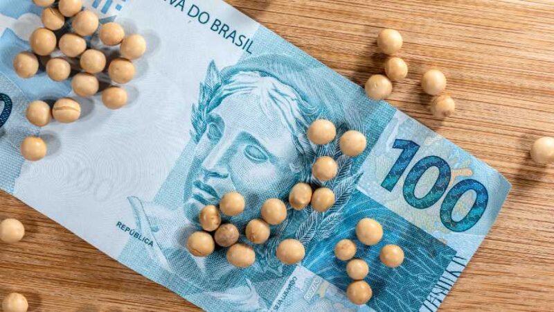 produtores do maranhao em alerta venha entender a batalha judicial