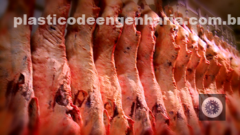 Projeção de exportações de carne bovina