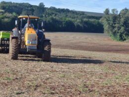 Sementes piratas no pasto trazem risco muito grande à fazenda, alerta especialista