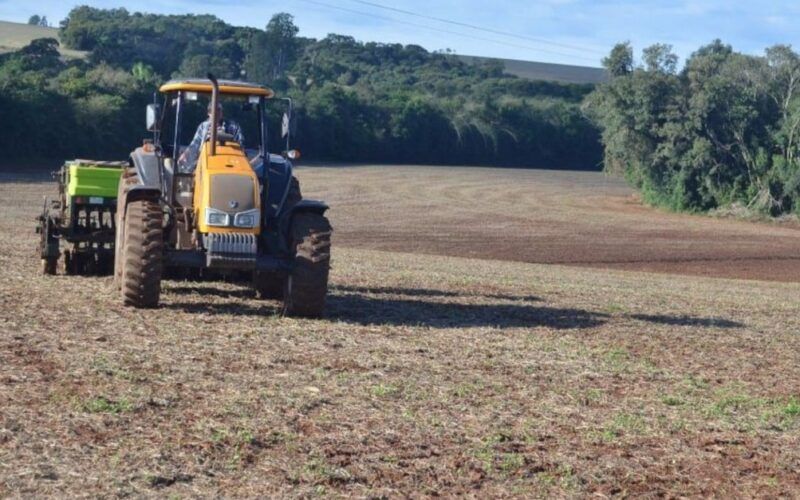 Sementes piratas no pasto trazem risco muito grande à fazenda, alerta especialista
