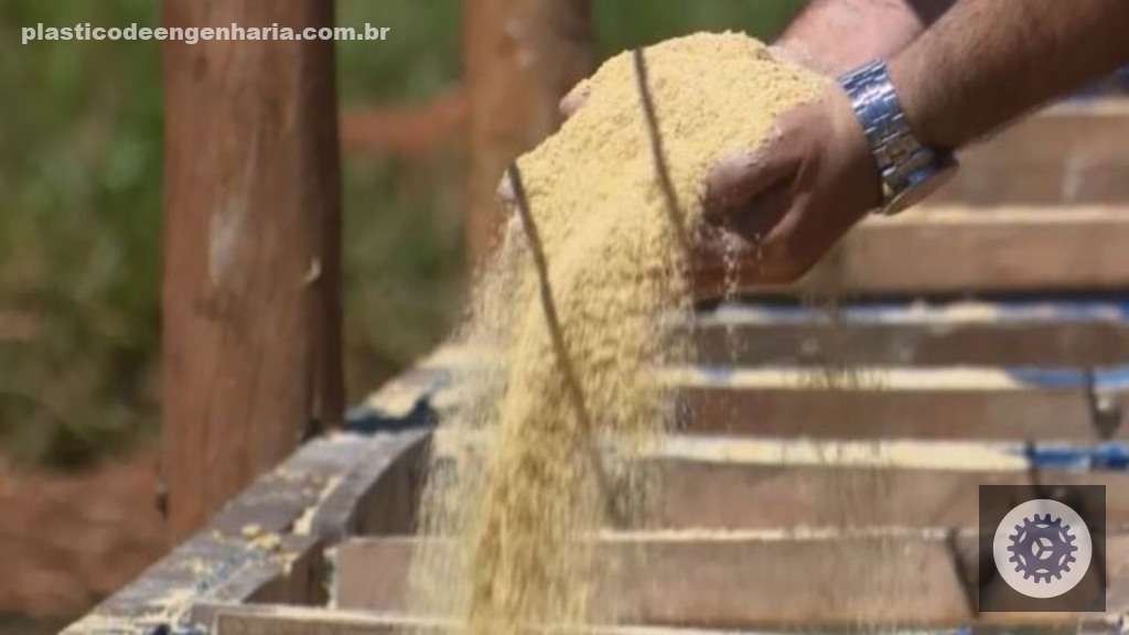 Açúcar na Ração Aumenta a Aceitação e o Desempenho do Gado com Sabor e Nutrição Eficientes 3 qoQ57qnS racao cocho 24.10.2024 2