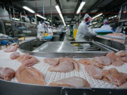 Quatro países abrem mercado para frango brasileiro, ampliando oportunidades e impulsionando a indústria avícola.